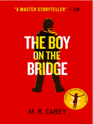 cover image of The boy on the bridge